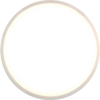 Neutron Rhythm Dyers Delight