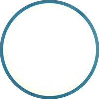 Neutron Rhythm Dyers Delight