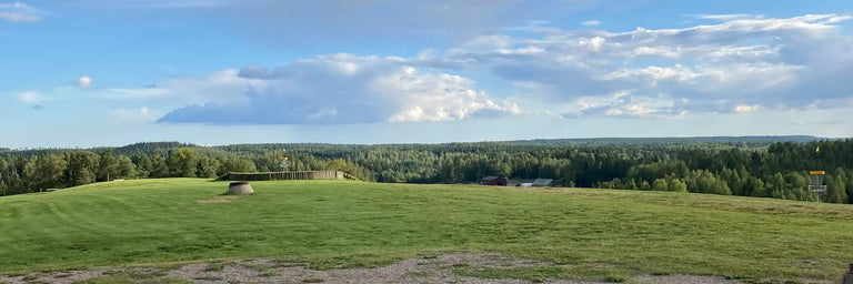 Et landskab med græs og skov og en enkelt gul disc golf kurv