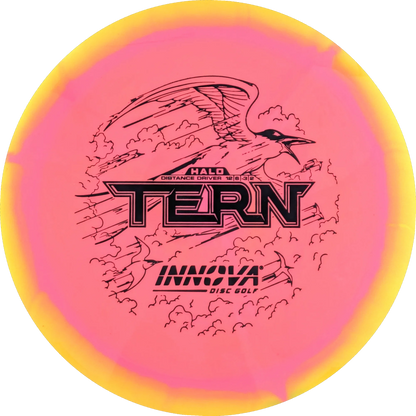 Halo Star Tern