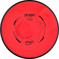 Neutron Entropy