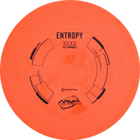 Neutron Entropy