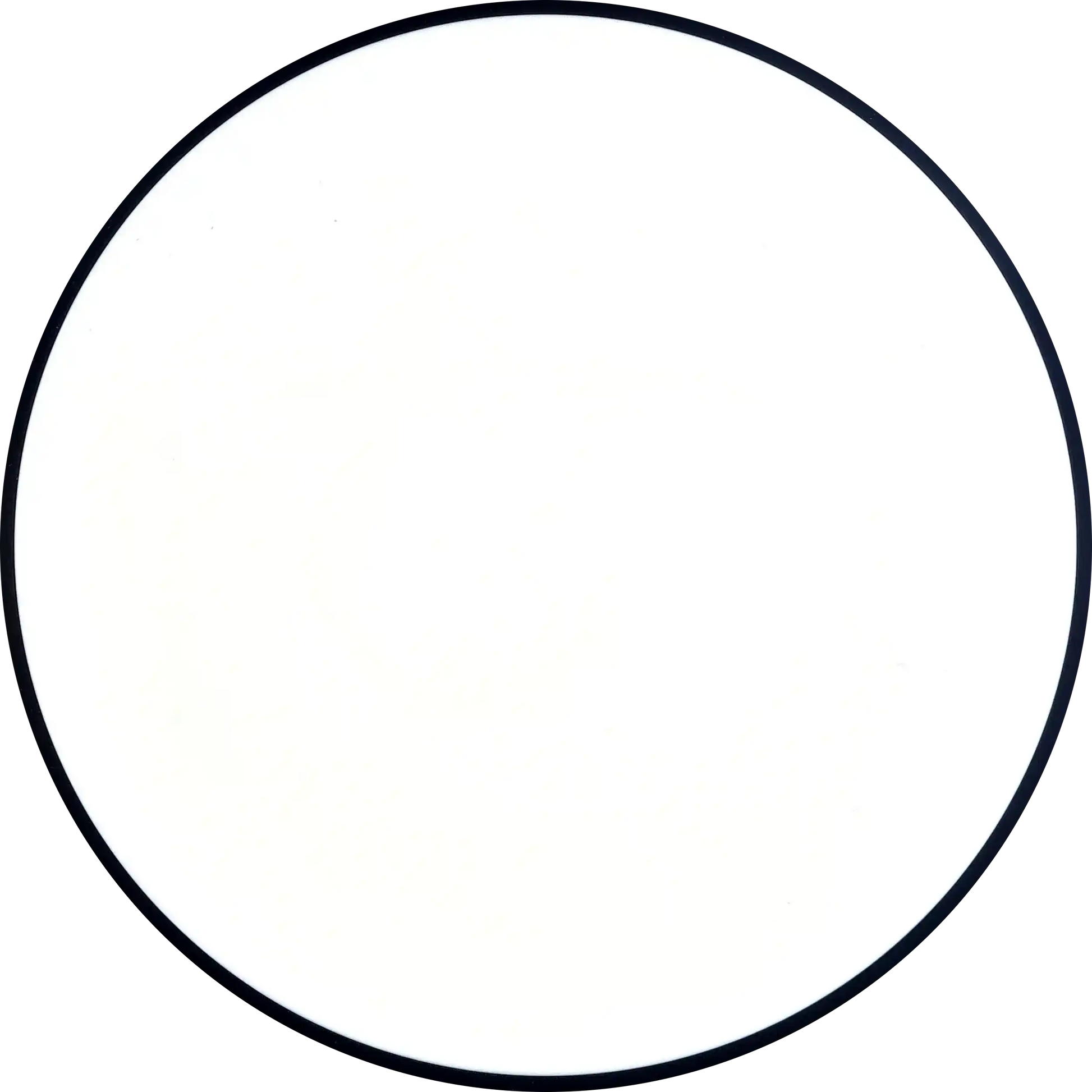 Neutron Spin Dyers Delight